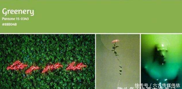 减龄|不管大衣还是羽绒服,女人少买黑色,这3种颜色更高级,洋气减龄