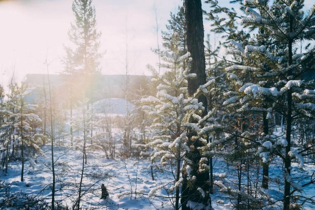  平方公里|漠河，一场18000平方公里的盛宴，在最北的北端等着你