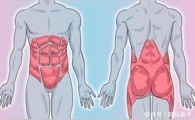 屈髋|想要练出强悍的核心力量,不要错过了健腹轮,同时刺激全身肌肉