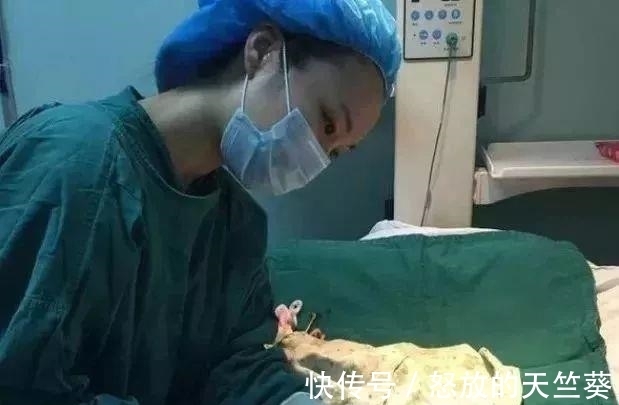 大消息|济南还没生娃的恭喜了!国家卫健委宣布一个大消息!