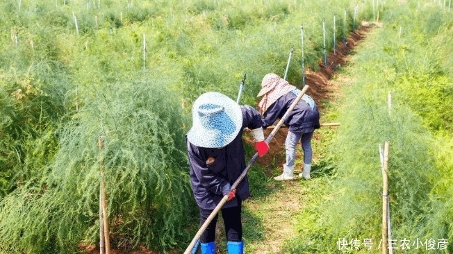  下联|上联: 锄禾日当午, 学者给出经典下联, 成就千古绝对