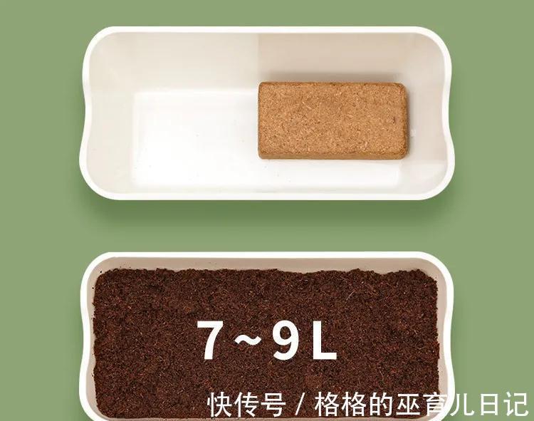 新手养花须知,这种土透气又保水,还纯天然