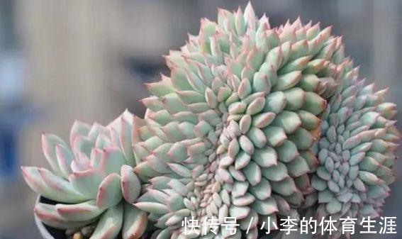 要想成为一名合格的肉友，你还需要知道这些黑话