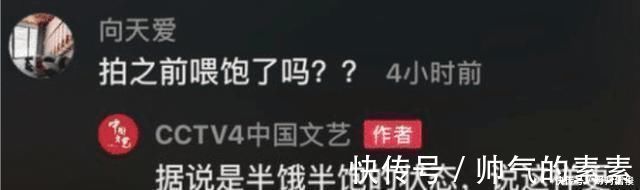 武松!水浒传的背后故事,武松打的是真老虎,为拍摄效果老虎并没有吃饱