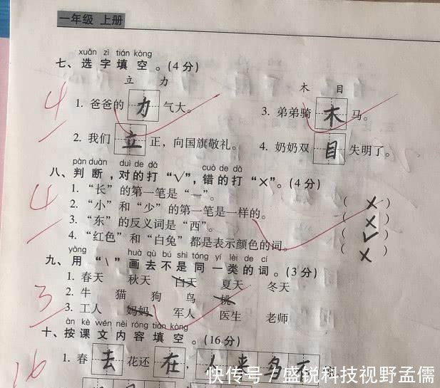 犹如|小学生期末检测卷火了，字迹犹如“印刷体”，老师给了99分