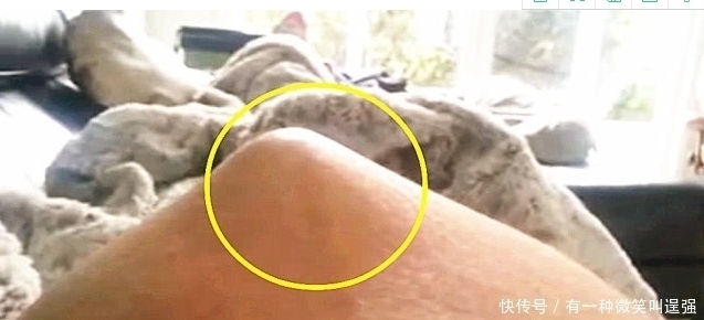 肚皮|孕妇轻轻摸了一下肚子,下一秒的画面好神奇,网友:哪吒吗?