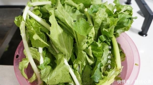 叶子|菜地里捡了2把叶子,富含膳食纤维,焯水一炒,简单营养又解馋