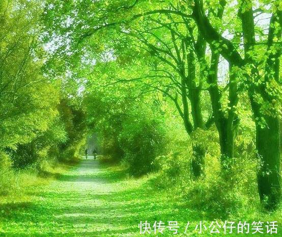 嵌字诗|今天9月9日,如此才华横溢的诗,你见过吗?绝!太绝了!