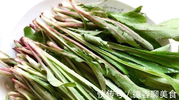 野草|在家乡见到此种野草,切记只摘叶子,不要挖根,因为太珍贵了