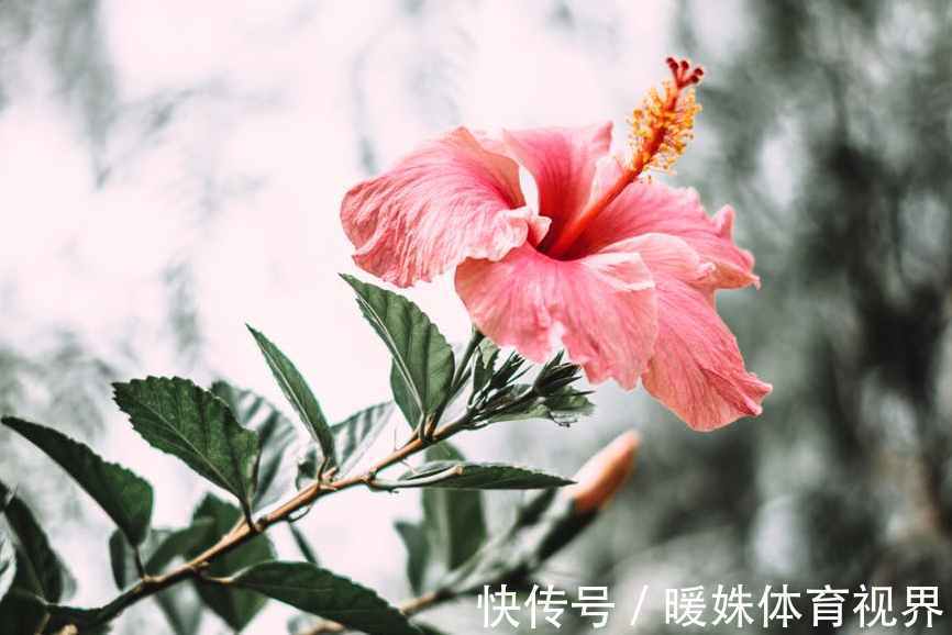 养老|父母偏心,生病后把财产全给小儿子,大儿子认栽:养老也让弟弟来