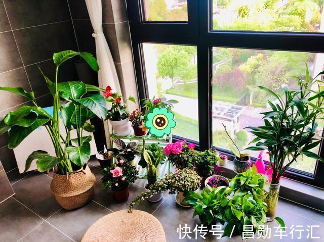 养花不会浇水吗?“六大口诀”记心间,养啥都能长得旺