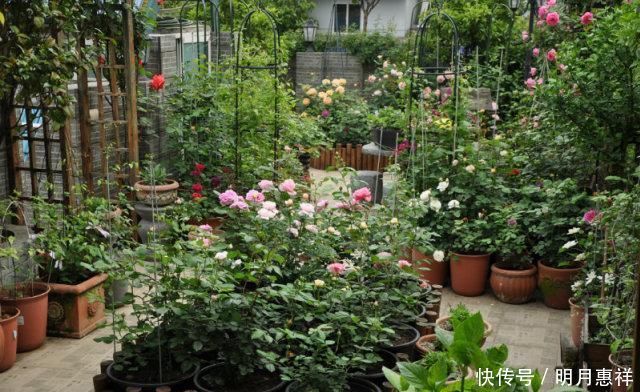 100㎡屋顶打造“花园露台”,网友直呼太壮观了,仿似人间仙境