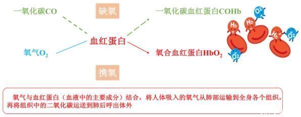 麻醉医生|手术前为什么一定要戒烟？这些麻醉常识要了解
