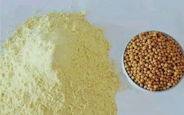 专门用这饵对付“大鲤鱼”，新手都能钓过瘾，果然越用越想用！