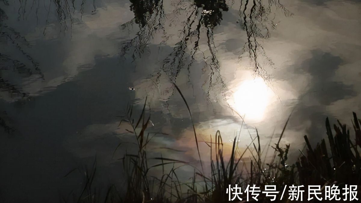 观日塔|登上“观日塔”，体验绚烂而有诗意的美景