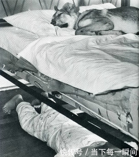 忍俊不禁|18张让人忍俊不禁的老照片