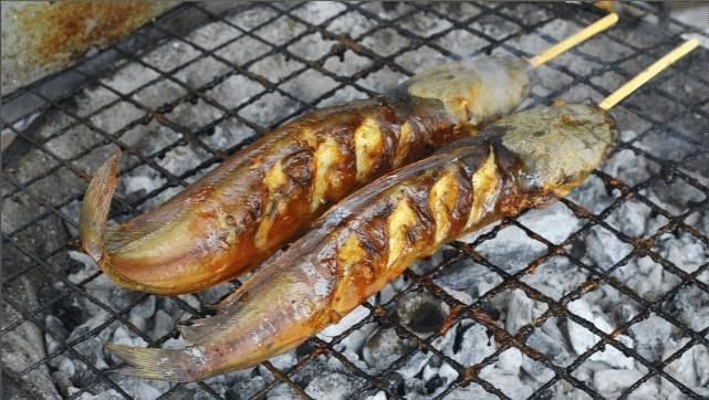 深圳龙华，小河沟内大鱼乱爬！钓鱼人：为何不开放垂钓？