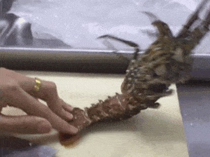 |搞笑GIF趣图:妹子很擅长玩石头剪刀布,一口气拿了五连胜