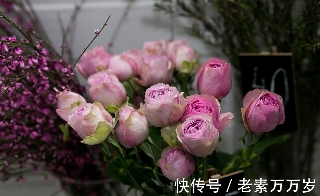 一日三餐&有些能力,只有读书能给你