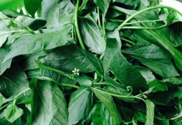 寒滞腹痛|田间地头的4种野菜，清热解毒、治愈虚寒，味道还很好！