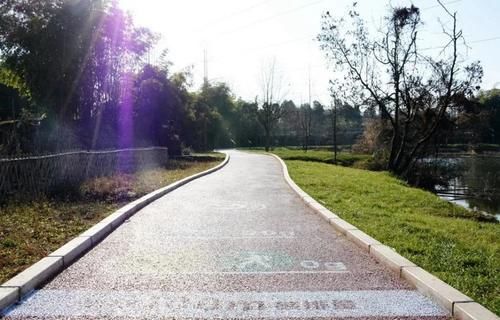 老年|自然丨仰天窝阳光健身步道升级！山顶湖泊等你来打卡~