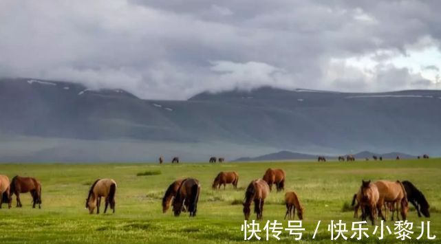 职场|属马人出马马到成功，职场一路乘风破浪，成就美好事业