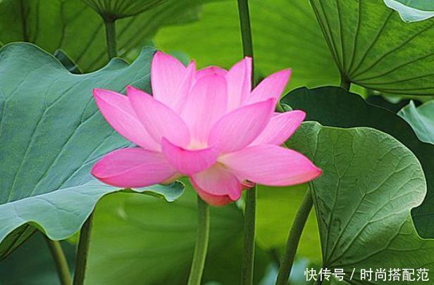  王伟伟|一个人再老实，也不能在这三件事上软弱，会被人看不起