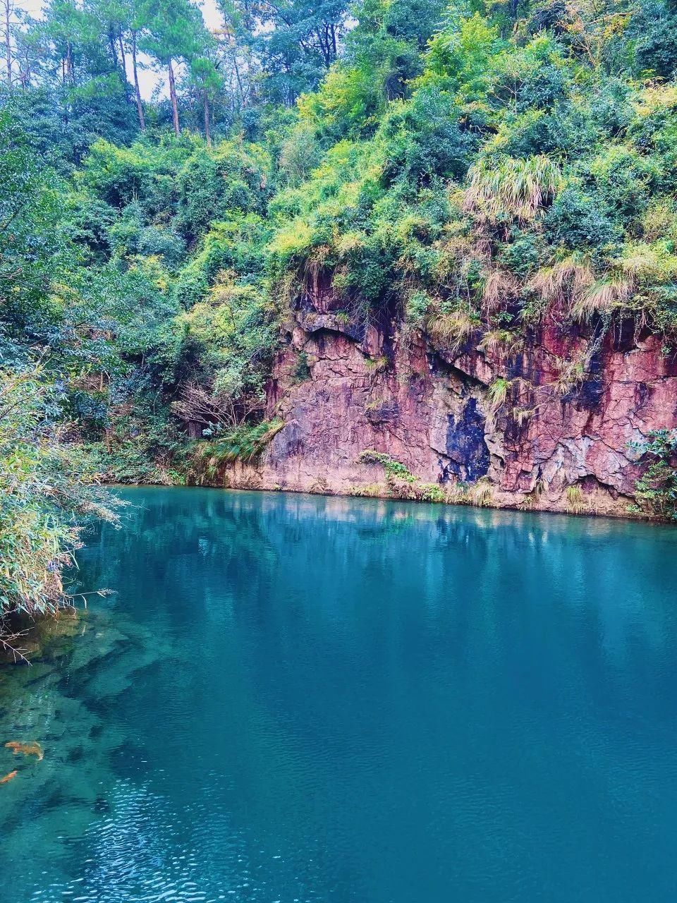 江鲜|全球最佳旅行目的地公布，中国这座唯一入选的小城，美得诗情画意