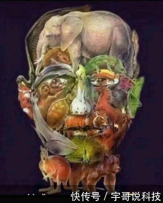  日本老年痴呆测验：一眼就发现骆驼的，老年痴呆与你无关