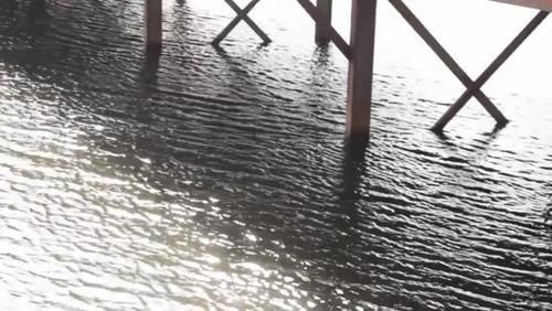 地方|为什么说夏天的钓位很好找因为就这2个地方,找不到的都是小白