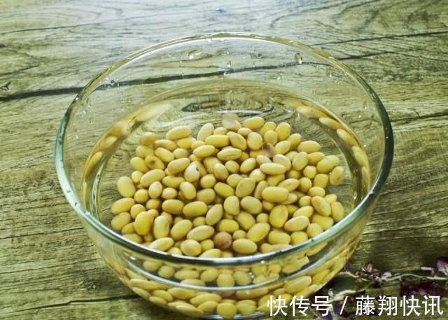 盆里加上“黄金豆”,叶片油亮亮,烂根黄叶都没有,发财树真好养