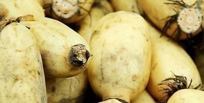 搭配|莲藕与此物搭配，脂肪少了，不贫血了，身体好，尤其女性不可错过