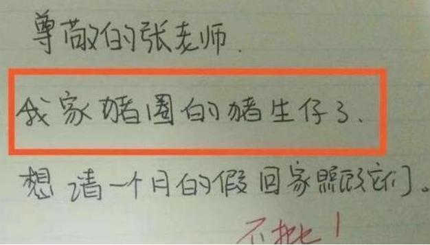 请假|小学生因“母狗生崽”请假，老师批假时笑出眼泪：你这名字不合适