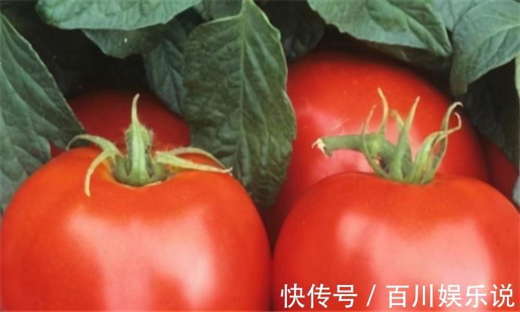 好处|超市常见的3种食物，补充营养、延缓衰老，好处多多！