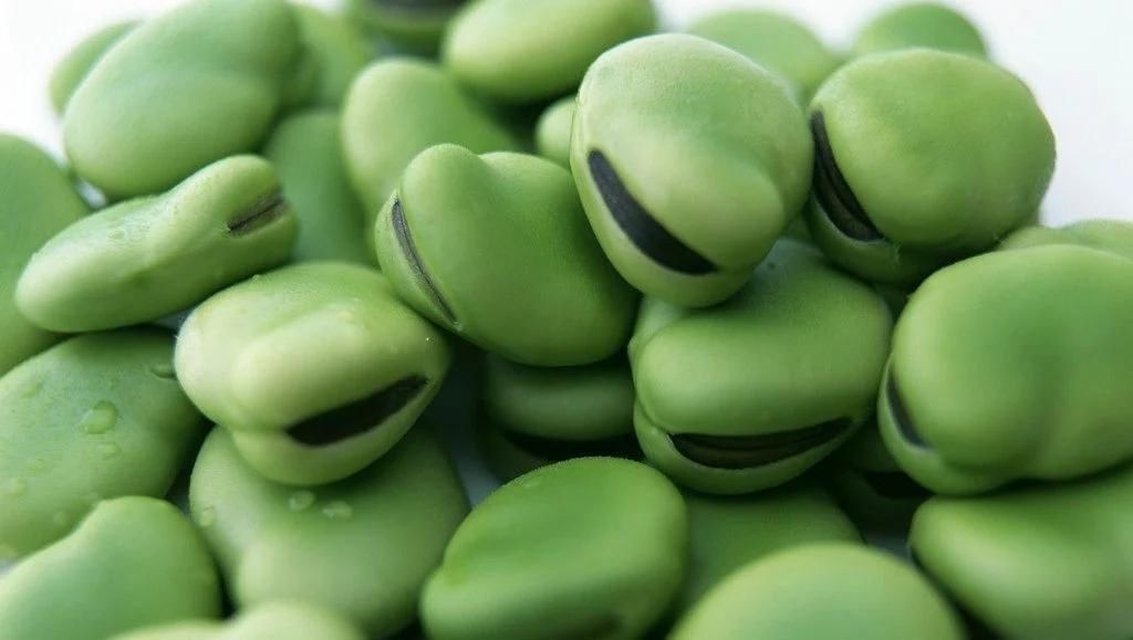 膳食纤维|春末夏初的精致养生食材——蔬菜篇