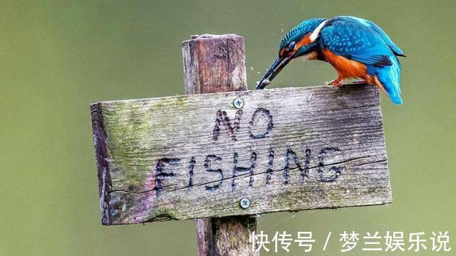 一条鱼没钓到,钓友被打出熊猫眼,围观者说:活该