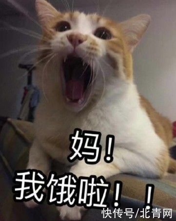 条约|别!喊!妈!了!这位妈妈直接这样做……