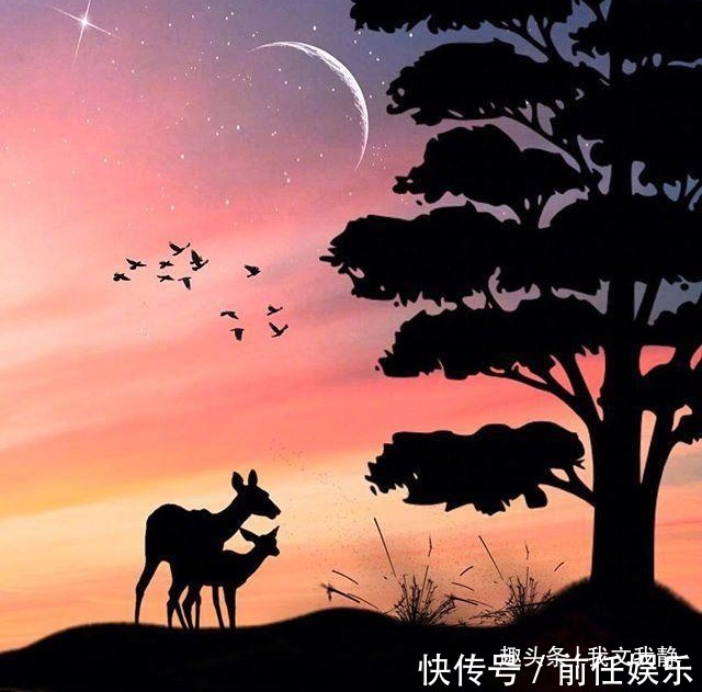 花超|妻子怀孕五个月男人要求实行AA制,孩子生下来全家后悔了