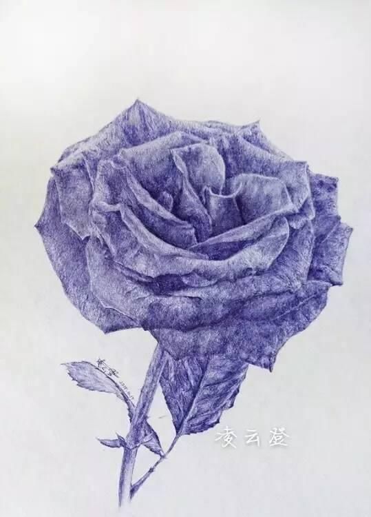 好好学习|这个高一男孩不好好学习,却用圆珠笔画出了纸上奇迹,专家都不敢相信