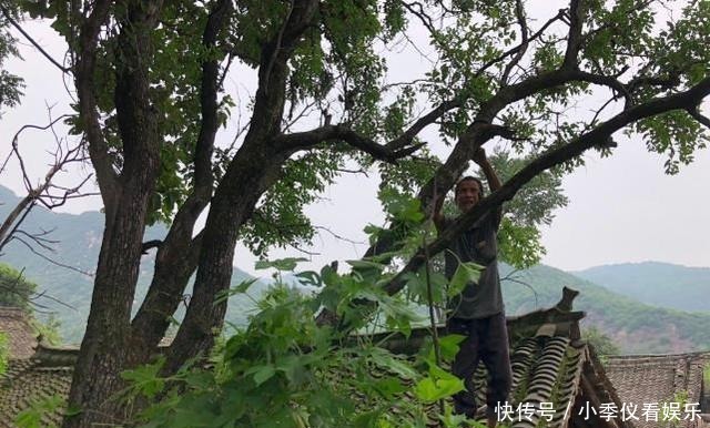  读书|农村俗语：“人住麻雀屋，辈辈出栋梁”，“麻雀屋”指的是什么？