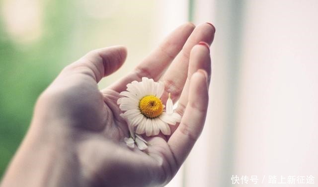 别太|有一种智慧,叫低调做人,高调做事