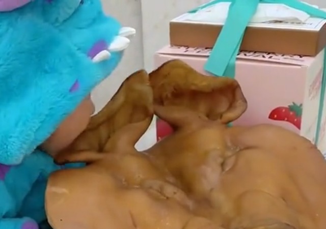 卤猪头|安徽一姥爷生日准备了卤猪头,客人进门看到一幕哭笑不得小吃货