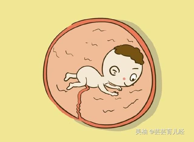 胎儿|孕妈在睡觉时,胎儿都在干嘛?第二条不忍直视
