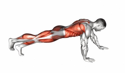 健身|健身如何训练核心?这几个动作,助你一臂之力