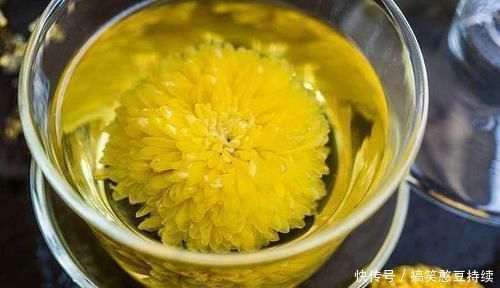 肝功|“养肝高手”找到了,不是胡萝卜,每天泡水喝两杯,给肝脏洗洗澡