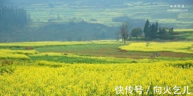 云南省|这个小县，竟然集中国最美峰林、最美瀑布、最美油菜花海于一身！