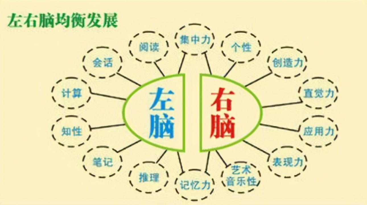 发育|麻省理工最新发现:孩子大脑发育的最佳方法,并非是靠“阅读”