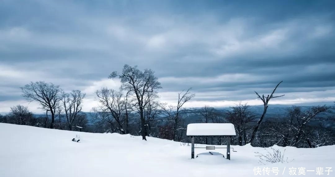 目皓$写雪最传神的三句诗,第一句太绝了,不愧是千古流传的名句