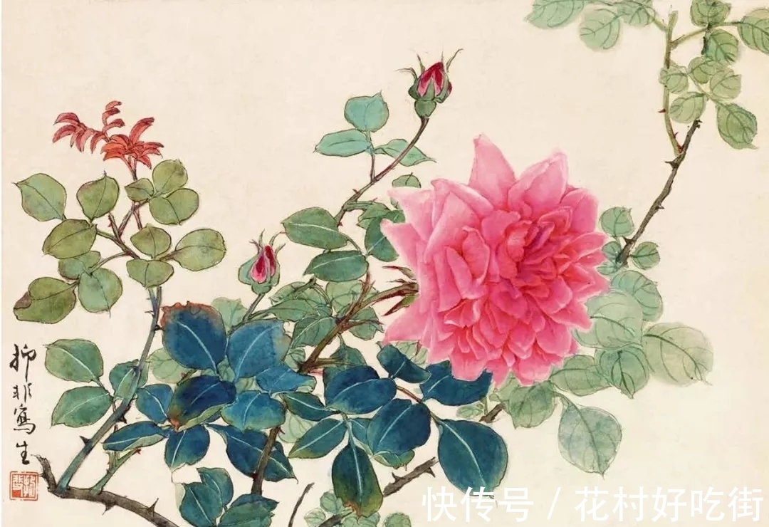 国画家$国画家|陆抑非的月季花