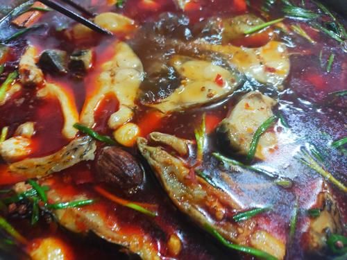 年夜饭，鱼6种好吃做法，家常口味，简单易上手，收藏备用